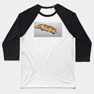 Red fox on a walk Baseball T-Shirt